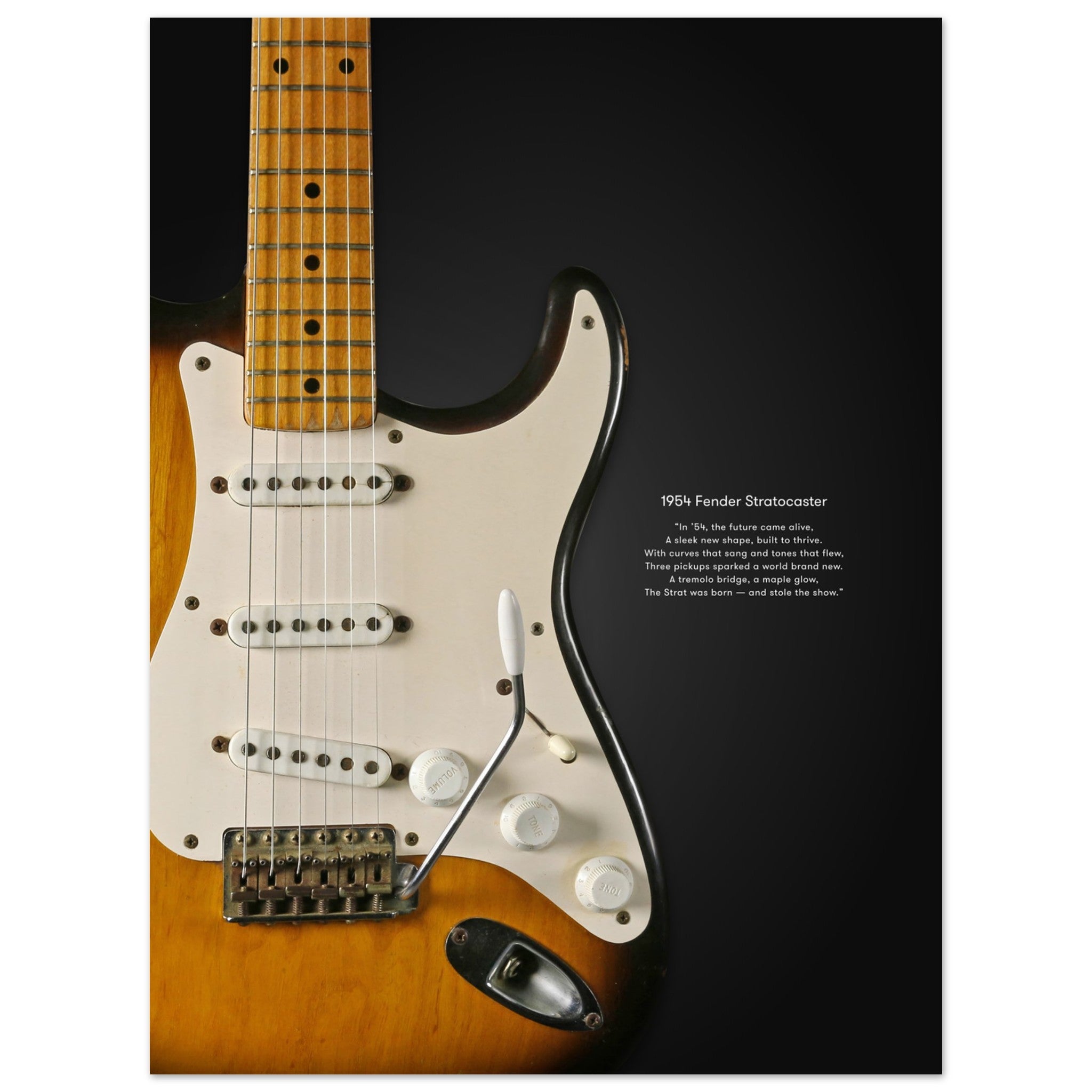 Fender Stratocaster – AxeFlash